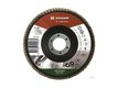 LIBRE SERVICE AGRICOLE - EQUIPEMENTS ATELIER - DISQUE À LAMELLES UNIVERSEL 125mm K60