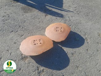 Soil preparation tool part Agrisem DISCOMULCH - 5